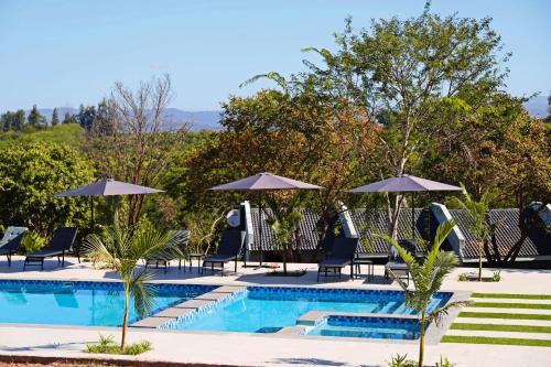 a swimming pool with chairs and umbrellas at Siyabonga Boutique Lodge in Nelspruit