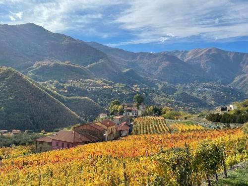 a vineyard in a valley with mountains in the background at Casa Bel Tempo in Pieve di Teco