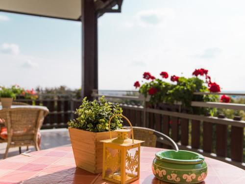 a table with a potted plant on a balcony at Haus Margarethe in Mörbisch am See