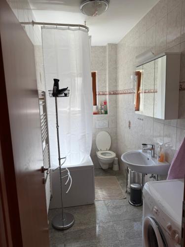 a bathroom with a shower and a toilet and a sink at Villa Kopic in Opatija
