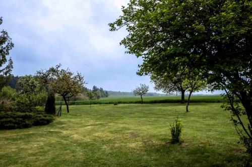 a field with trees in the middle of a field at Chlum 5 