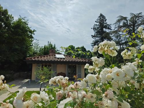 a garden with white flowers in front of a house at Villa Torricelli Scarperia - Il Giardinetto Residence in Scarperia
