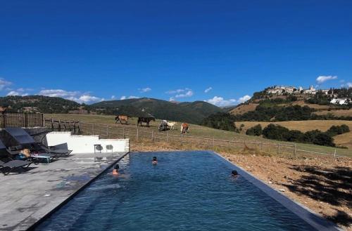 a group of people in a swimming pool with horses in the background at Agriturismo Casale Montebello in Monteleone di Spoleto