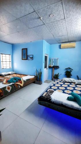 two beds in a room with blue walls at Út Ngọc Camping in Can Gio