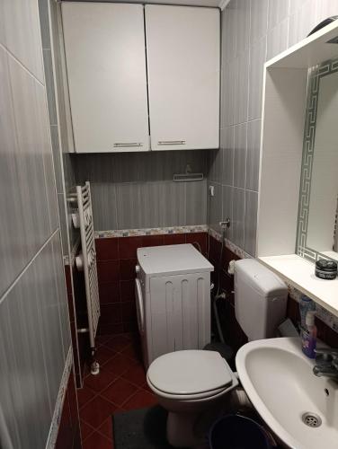 a small bathroom with a toilet and a sink at CityComfort Tuzla - City Center Free Private Parking in Tuzla