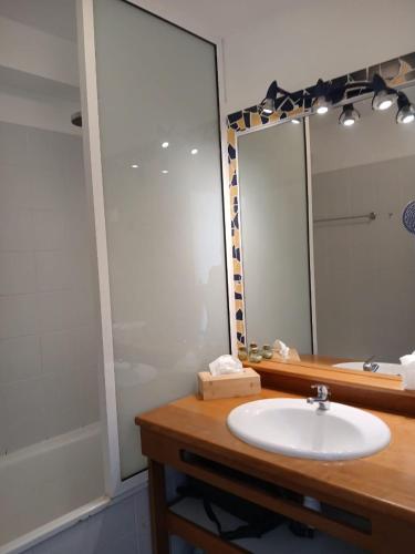 a bathroom with a sink and a mirror at Bel appartement familial in Saint-François