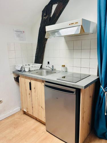 une cuisine avec un évier et un plan de travail dans l'établissement Le Nid Suspendu, à Orléans