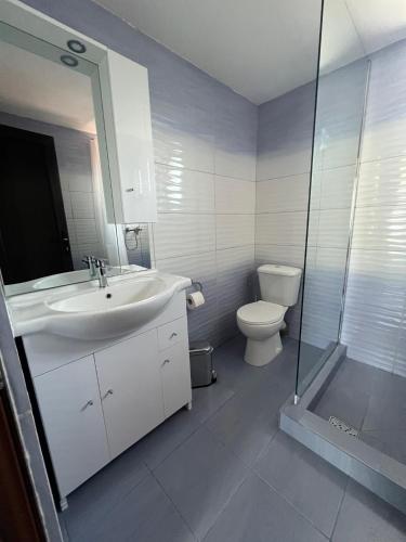 a bathroom with a sink and a toilet and a shower at Casa Valurile Marii in Sfântu Gheorghe