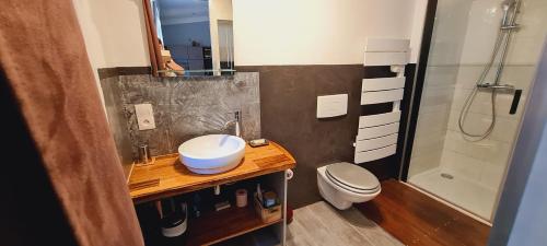 a bathroom with a sink and a toilet and a shower at La Chambrette in Salon-de-Provence