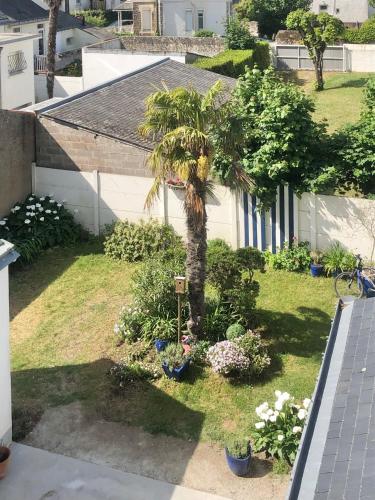 - une vue aérienne sur une cour avec un palmier dans l'établissement le Pouliguen centre ville, au Pouliguen