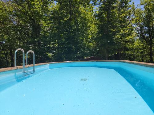 duży basen z drzewami w tle w obiekcie Gite la bleuet avec piscine w mieście Valgorge