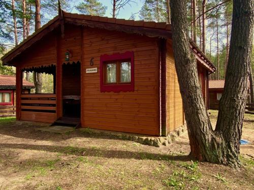 Guzowy PiecにあるDomek nad jeziorem Guzowy Piecのギャラリーの写真