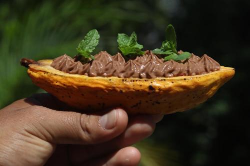 a person holding a piece of chocolate covered fruit at Enai in Puerto Maldonado