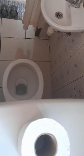 a bathroom with a white toilet in a room at Miji Lake Victoria View Room in Jinja