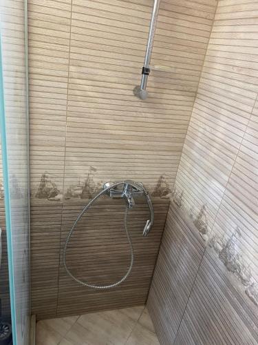 a shower with a shower head in a bathroom at Altona North in Shabla