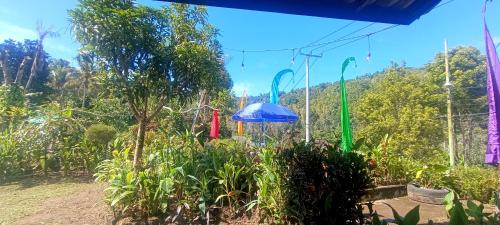 a garden with a blue umbrella and some plants at Gosela Bali in Munduk