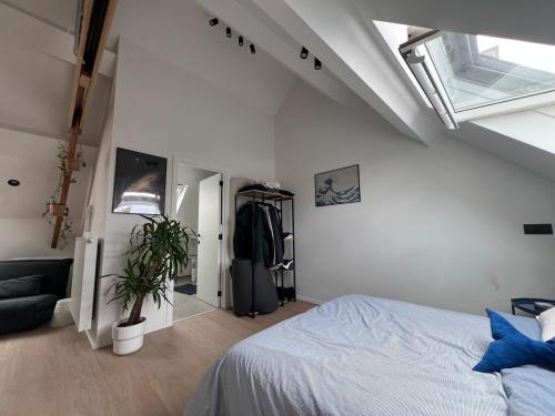 Фотография из галереи Studio Laurent в Генте