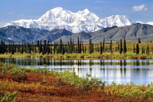 a mountain reflecting in a lake with trees in the foreground at McKinley Creekside Cabins in McKinley Park