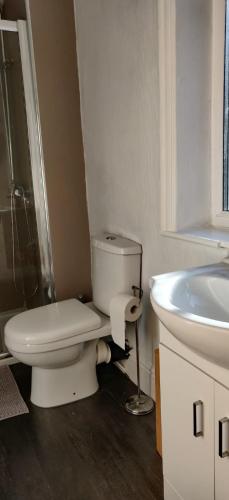 a bathroom with a toilet and a sink at Grange Dene Cottage in Mytholmroyd