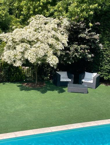 a tree with white flowers next to a swimming pool at LE DOMAINE DE GORNETON in Chasse-sur-Rhône