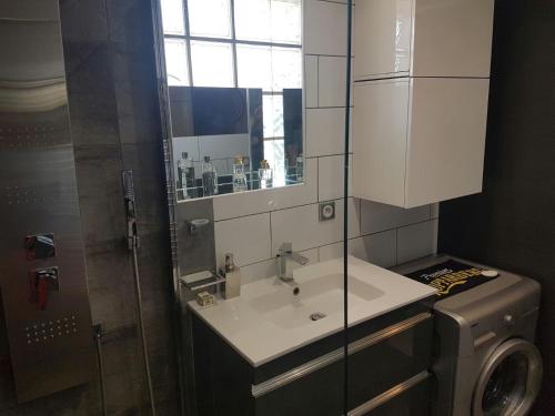 une salle de bain avec un lavabo et une machine à laver dans l'établissement Studio au calme, à Vallauris