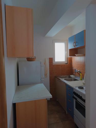 Apartment Kostajnsek