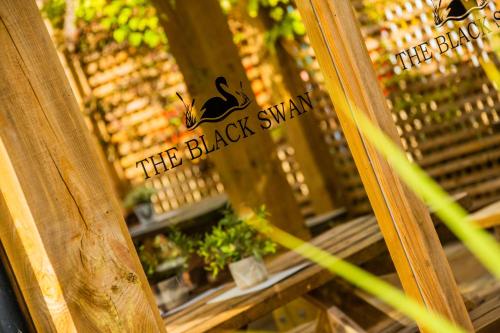 a black swap sign on a window of a plant at The Black Swan Inn in Norwich