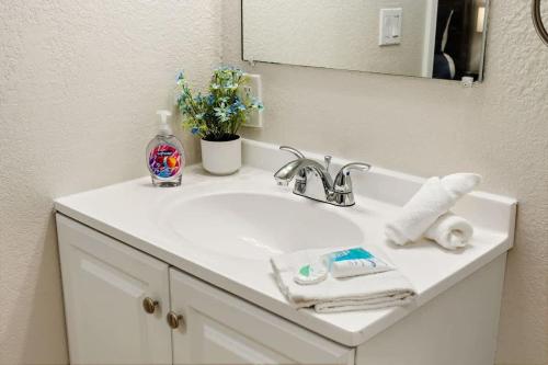 a white bathroom sink with a mirror and flowers at Spacious Zephyrhills Duplex #1 in Zephyrhills