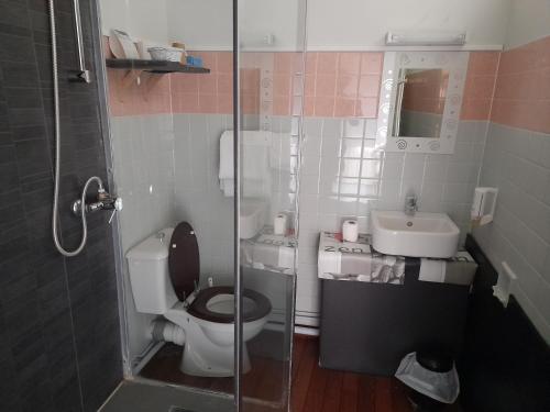 a small bathroom with a toilet and a sink at La Tete Noire in Montrichard
