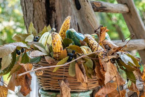 a basket full of corn on a pole at L'aia di San Giorgio in Ortelle