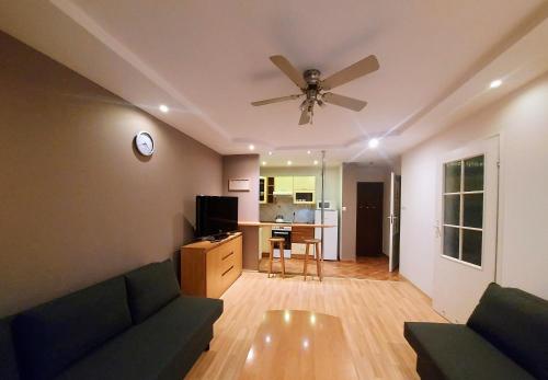 ノヴィ・タルクにあるApartament 14 Nowy Targ - słoneczny apartament z widokiem na Tatryのソファと天井ファンのあるリビングルーム