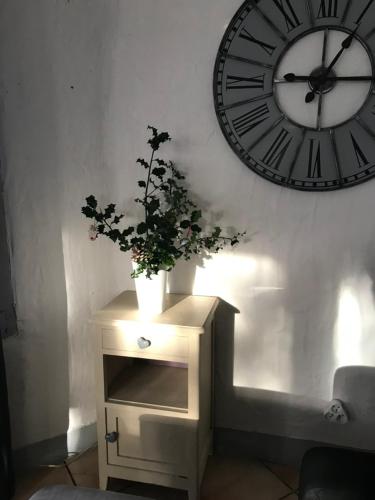 a clock on a wall next to a table with a plant at La petite maison au chêne in Belin-Beliet