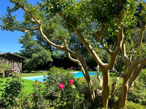 un jardin avec une piscine et un arbre dans l'établissement Maison de vacances Bazas, à Lignan-de-Bazas