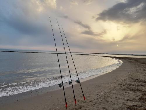a pair of fishing poles sitting on the beach at Camping l'Escale Mobil'home Giana in Agde