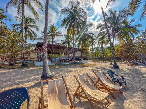 a group of chairs on a beach with palm trees at Huku Beach Hostel in Palomino
