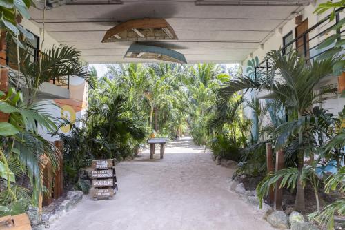 Сад в Mayan Monkey Isla Mujeres - Social Hotel