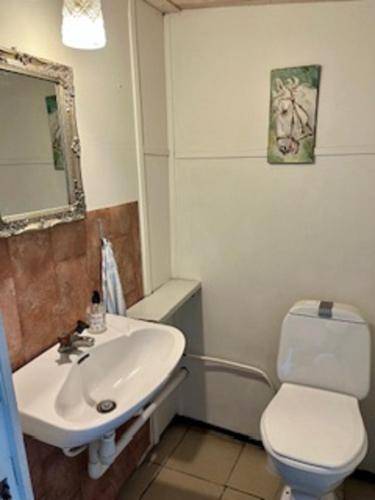 a bathroom with a white sink and a toilet at Strandnära Stuga Saga in Visby