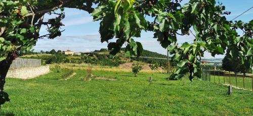 a field of green grass with a fence at Gîte de Riosset in Grane