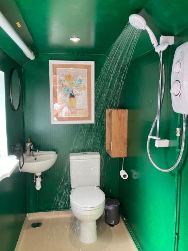 Brand New Stylish Converted Coach House in Cardiff photo 4