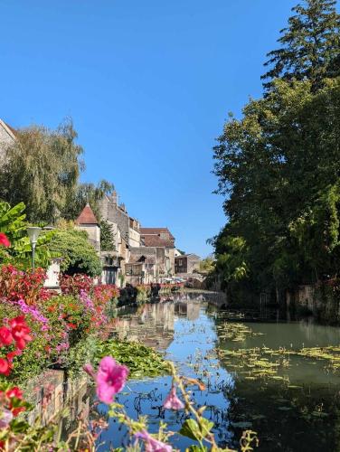 a view of a river with flowers and trees at péniche Ino Lefkothea II chambre d'hôtes in Dole