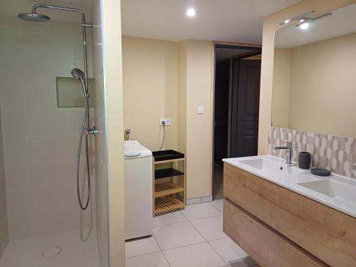 une salle de bain avec un lavabo et une douche dans l'établissement Le sécadou, à Montirat