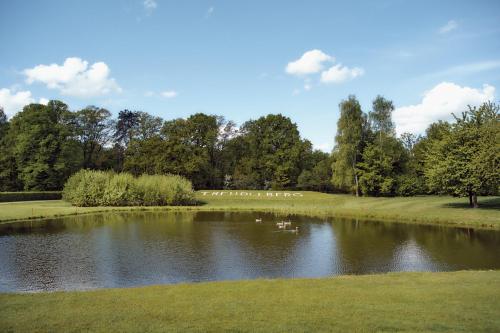 a pond in a park with ducks in the water at Steigenberger Hotel Treudelberg Hamburg in Hamburg