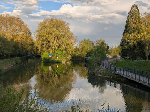 a river with trees and reflections in the water at péniche Ino Lefkothea II chambre d'hôtes in Dole