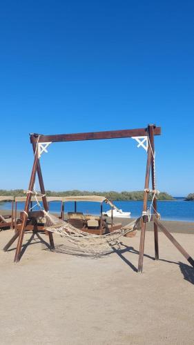 a hammock on a beach with the ocean in the background at Nabq Adventure Camp in Nabq
