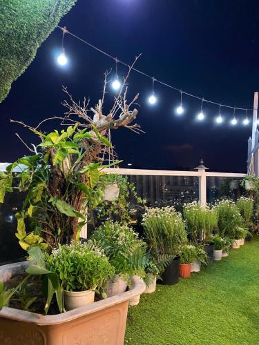 a row of potted plants on a balcony with lights at Ciel 9601 Home in Da Lat