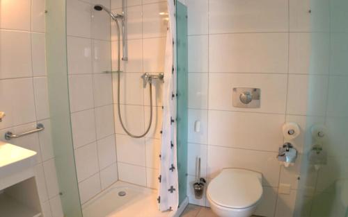 a bathroom with a shower with a toilet and a sink at Gästehaus Sonne in Bütschwil