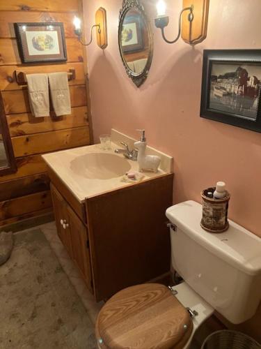 a bathroom with a toilet and a sink at Owl's Nest Lodging 