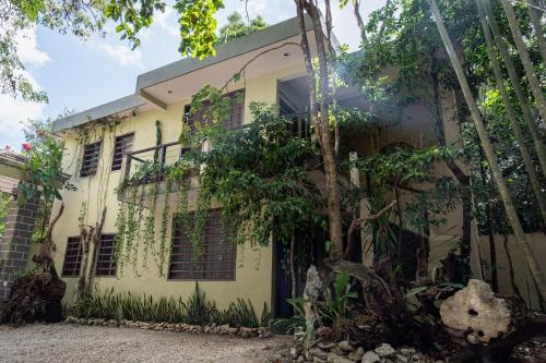 an exterior view of a house with trees at Hokhmah Heart Hotel in Puerto Morelos