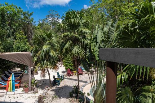 a beach with chairs and umbrellas and palm trees at Hokhmah Heart Hotel in Puerto Morelos