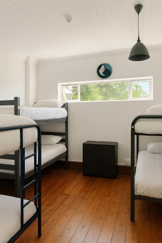 Llit o llits en una habitació de Green Elephant Backpackers
